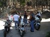 Needles Highway