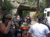 Needles Highway